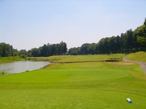 m]-2011.jpg