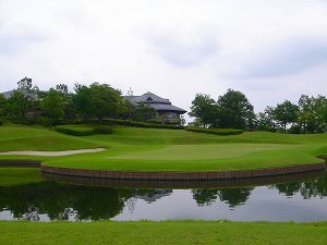 xy-2011.jpg